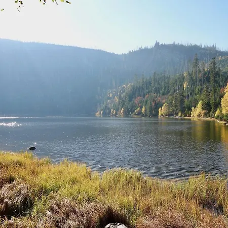 Mertlin Volary