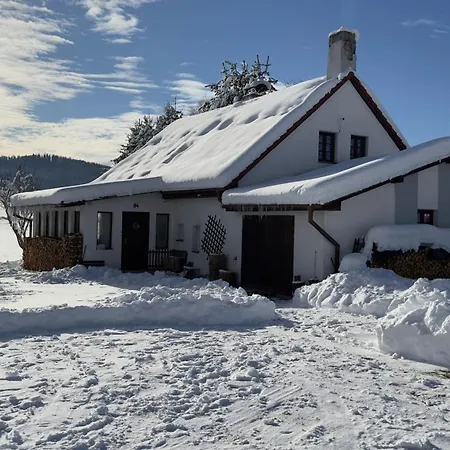 Ferienhaus Mertlin *