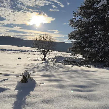 Mertlin Semesterbostad *